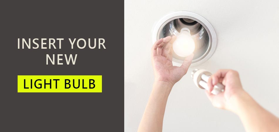 Insert-Your-New-Light-Bulb