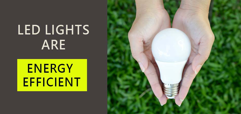 Led-Lights-Are-Energy-Efficient