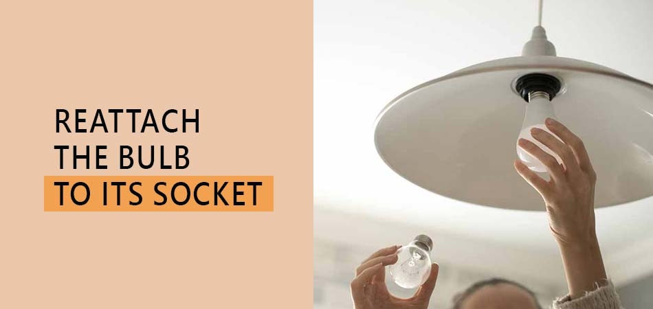 Reattach-the-Bulb-to-Its-Socket