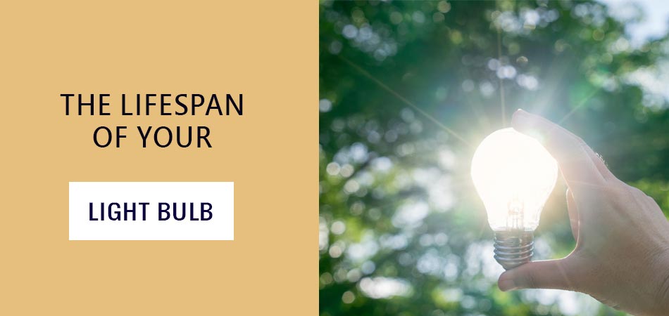 The-Lifespan-of-Your-Light-Bulb