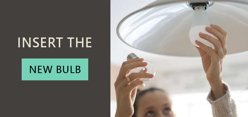 Insert-the-New-Bulb