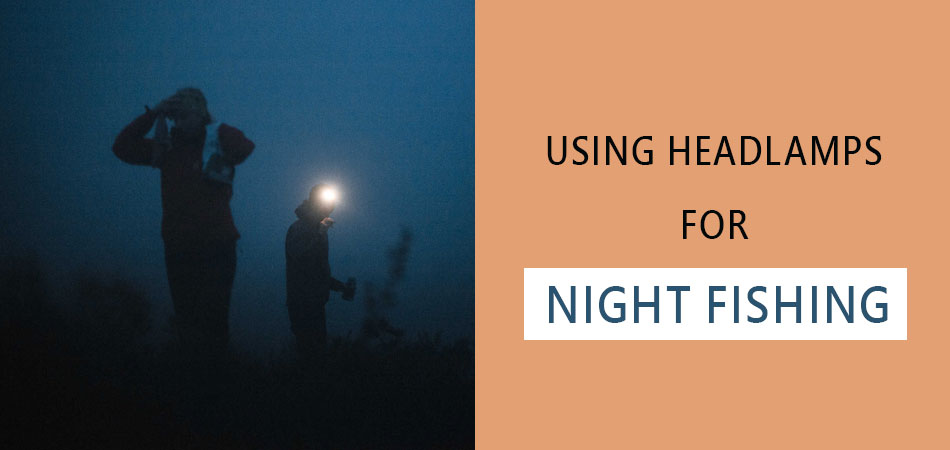 Using-Headlamps-for-Night-Fishing