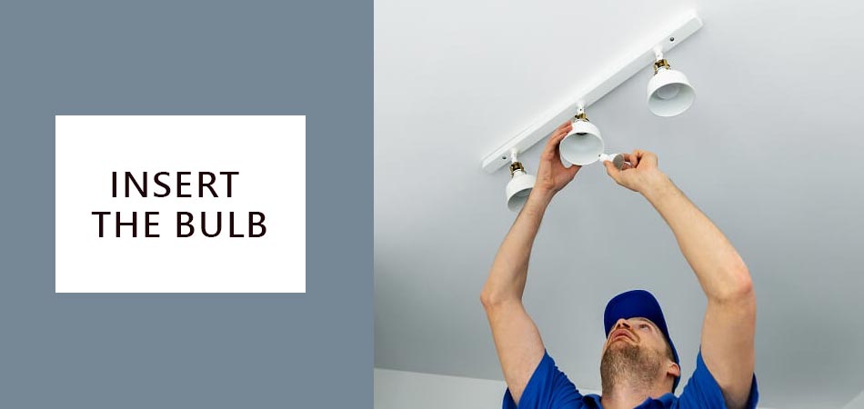 Insert-the-Bulb