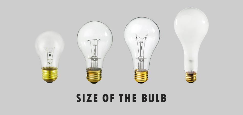 Size-of-the-Bulb
