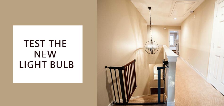 Test-the-New-Light-Bulb
