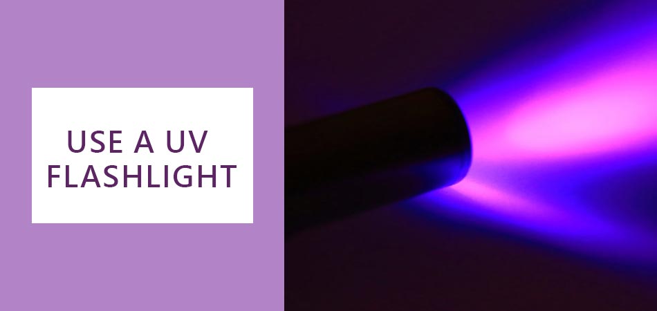 Use-a-UV-Flashlight