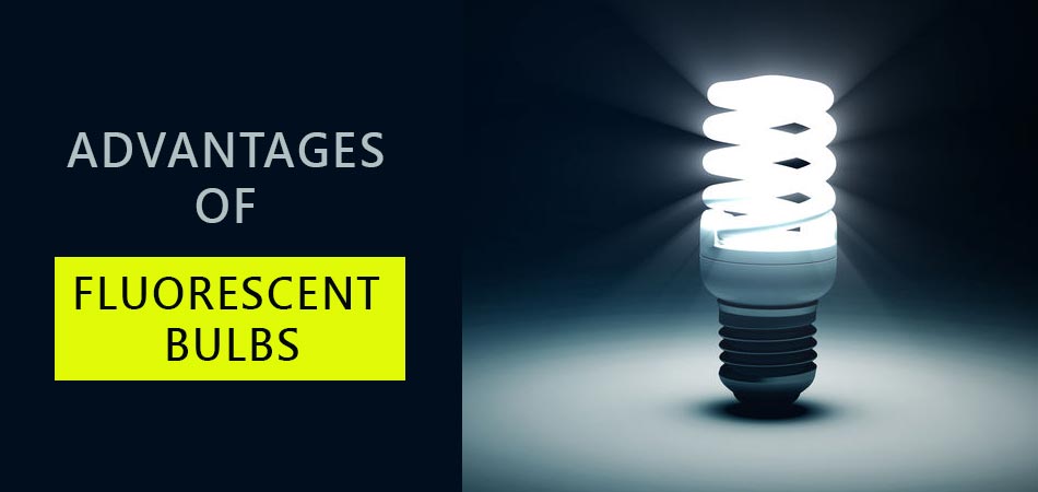 Advantages-of-Fluorescent-Bulbs