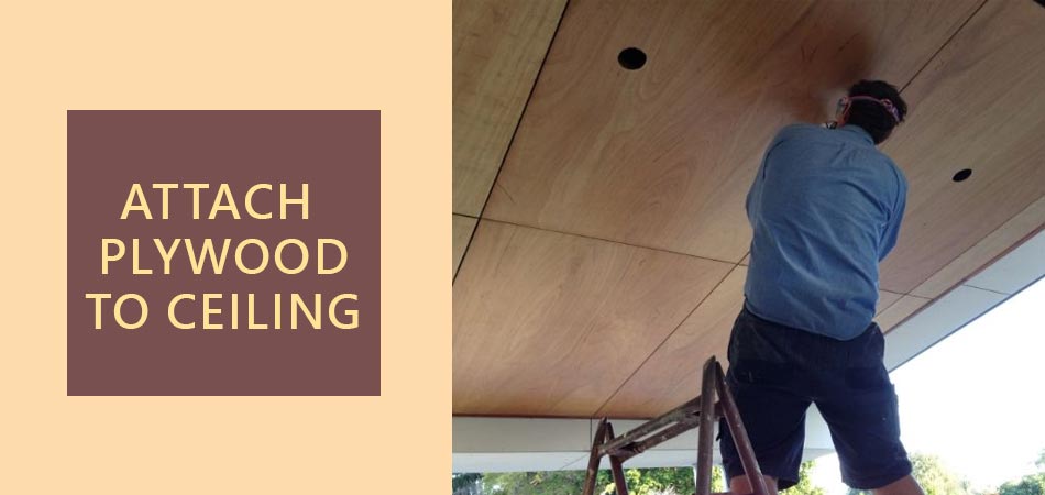Attach-Plywood-to-Ceiling