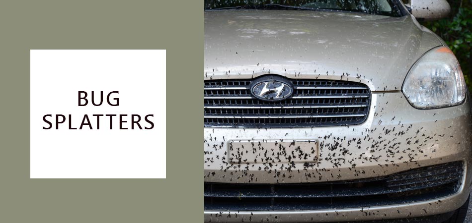 Bug-Splatters-on-Headlights