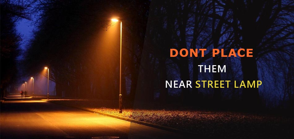 Dont-Place-Them-Near-Street-Lamp
