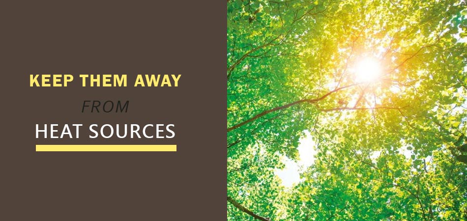 Keep-Them-Away-from-Heat-Sources