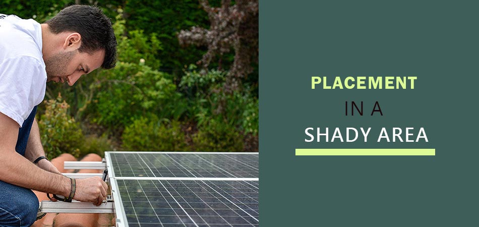 Placement-in-a-Shady-Area
