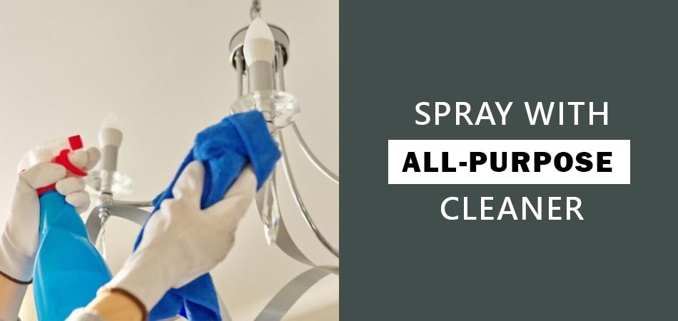 Spray-With-All-Purpose-Cleaner