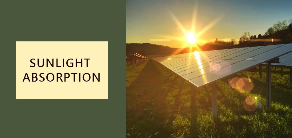 Sunlight-Absorption