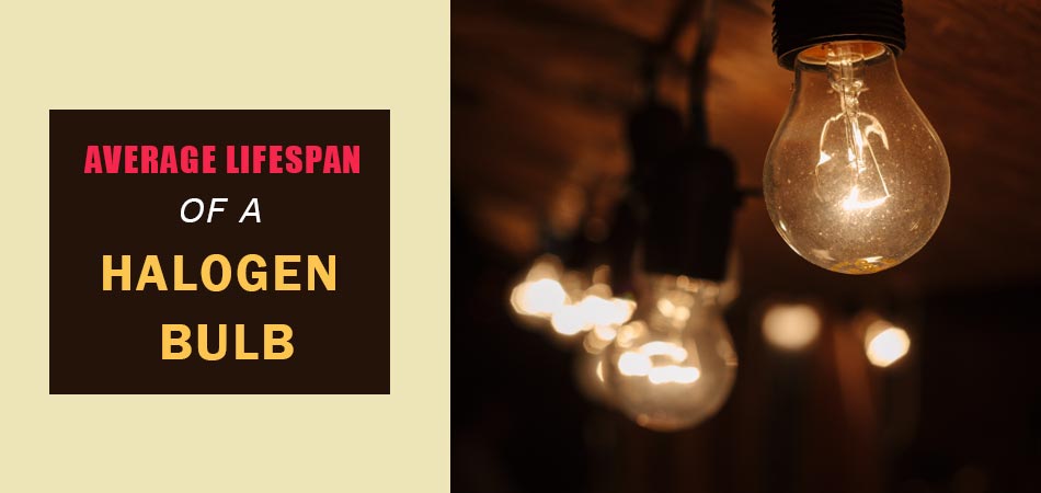 Average-Lifespan-of-a-Halogen-Bulb