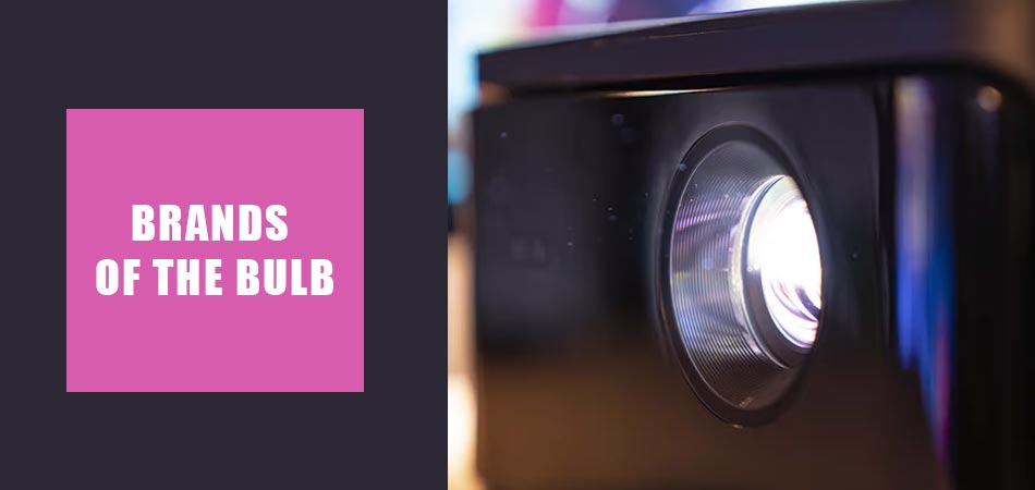 Brands-of-the-Bulb