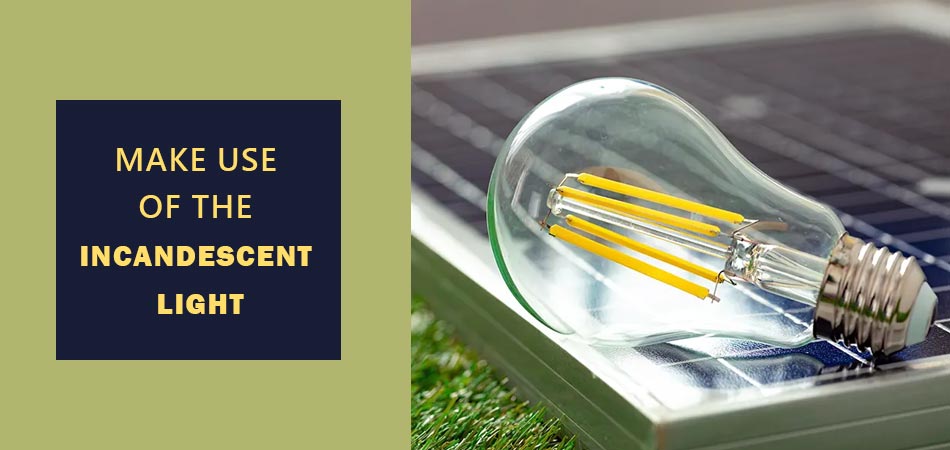 Make-Use-of-the-Incandescent-Light