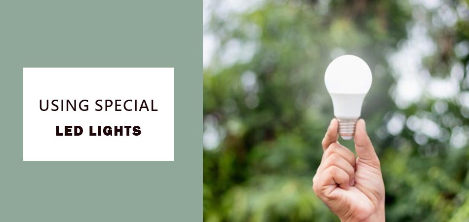 Using-Special-Led-Lights