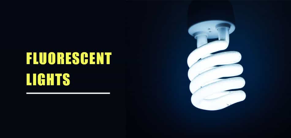 Fluorescent-Lights